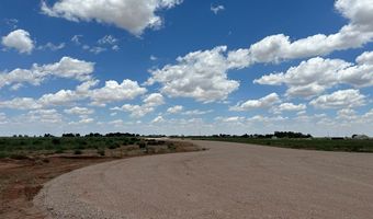SE CR 2870, Andrews, TX 79714