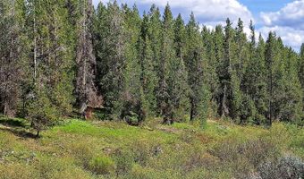 4376 Granite Rdg, Ashton, ID 83420