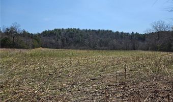 1827 Willis Gap Rd 104, Ararat, VA 24053