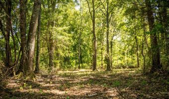 1203 Love St, Brookhaven, MS 39601
