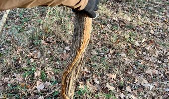 16749 Mush Run Rd, Athens, OH 45701