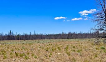White Birch Lane lot 4, Bly, OR 97622