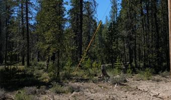 Jaguar Lane 29, Bonanza, OR 97623