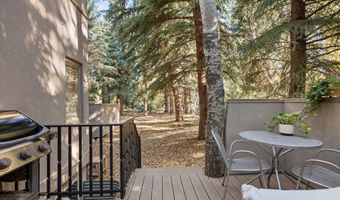 814 W Bleeker St E2, Aspen, CO 81611