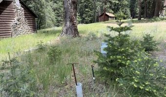 Cedar Way, Alturas, CA 96101
