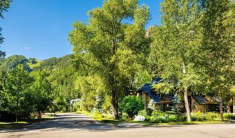 303 W Hopkins Ave, Aspen, CO 81611