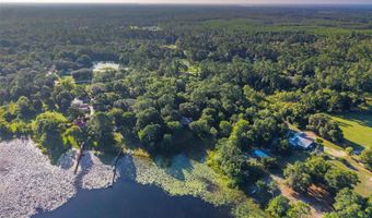54544 BUCKHORN Rd, Astor, FL 32102