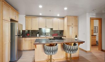 326 Midland Ave 306, Aspen, CO 81611