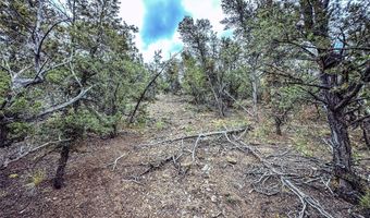 623 A County Road 69, Ojo Sarco, NM 87521