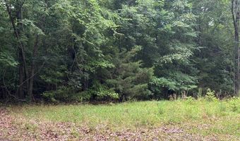 12 Acres Horton Dr, Abbeville, SC 29620