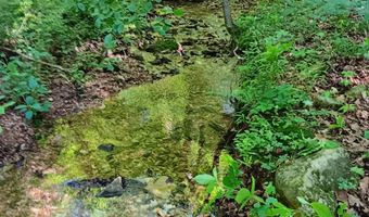 65 Acres Plainview Rd, Anderson, MO 64831