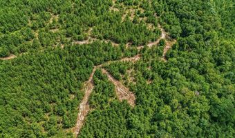 Harry Priddy Road, Americus, GA 31719