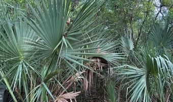 207 Muscadine Wynd, Bald Head Island, NC 28461