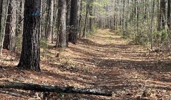 Parsons Road, Ashland, VA 23015
