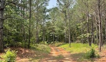 CR 1401, Booneville, MS 38829