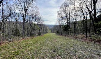 320 Acres CR 921, Alpena, AR 72611
