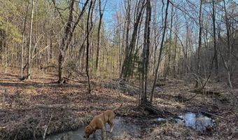 MOUNTAIN CUT RD lot C, Appomattox, VA 24522