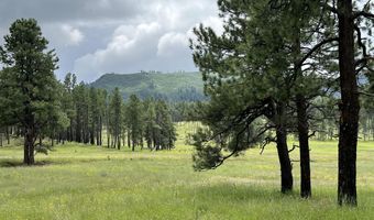 1 A FOREST ROAD 26, Alpine, AZ 85920