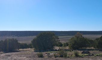 68 N 8171, Concho, AZ 85924