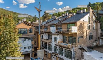 46 Red Spruce Ln 2, Beaver Creek, CO 81620
