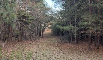 11 Acres RISER MILL ROAD Lot 11 Acres, Alpine, AL 35014