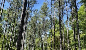 0 Orem Rd, Bay Minette, AL 36507