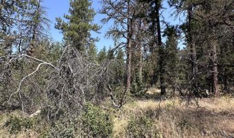 Lot 35 Badger Lane, Bonanza, OR 97623