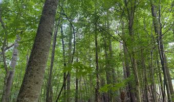 643 Radar Rd, Ararat, NC 27007