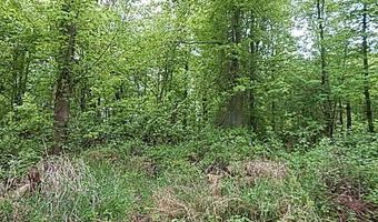 15252 27 Mile Rd, Albion, MI 49224