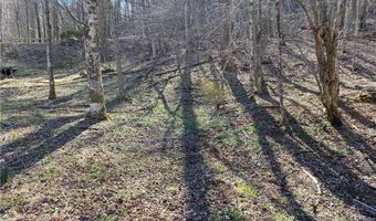 Lot 5 Lakespur Trail, Banner Elk, NC 28604