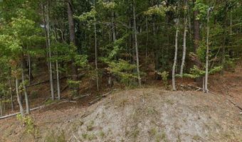 15065 LOCK 17 Rd Lot 1, Adger, AL 35006
