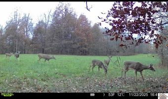 115 County Road 1039, Bardwell, KY 42023