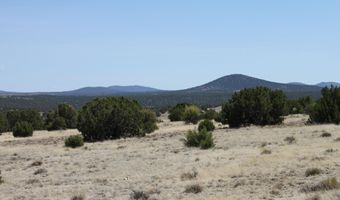36 County Road 8249, Concho, AZ 85924