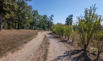 18180 Us 160, Alton, MO 65606