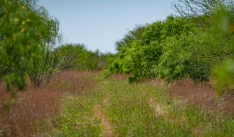 FM 735, Alice, TX 78332