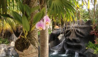 1780 Kauhikoa Rd, Haiku, HI 96708