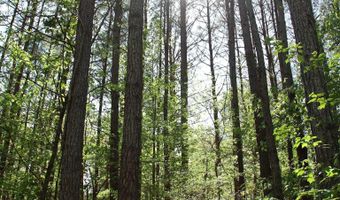 4820 COUNTY ROAD 22, Ashville, AL 35953