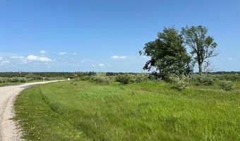 Sunset Boulevard 52, Alanson, MI 49706