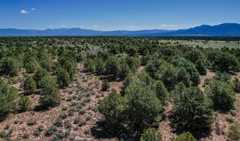 B 2 and B 1A Comanche Trail, Carson, NM 87517