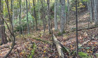 345 Christa Ln, Arden, NC 28704