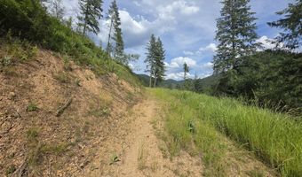 480 Dunn Peak Rd, Avery, ID 83802
