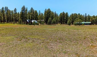 16 County Road 2089, Alpine, AZ 85920