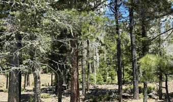 Lots 16 Lot17 Palo Flechado Ridge Road, Angel Fire, NM 87710