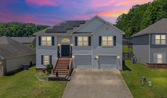 1007 Clinton Ct, Alexander, AR 72002