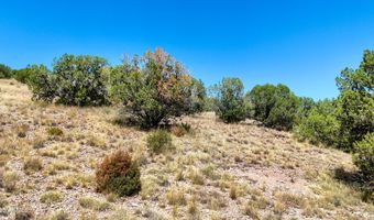 00 N Hilltop Trl D2, Chino Valley, AZ 86323