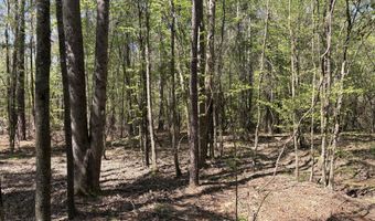 SW Auburn Drive, Bogue Chitto, MS 39629