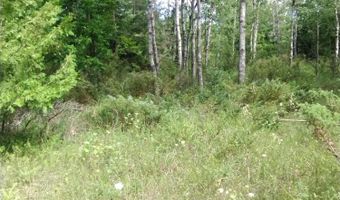 5060 Long Lake Rd, Alpena, MI 49707