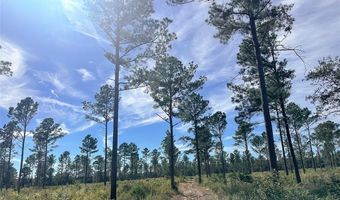 Tbd CR 4328, De Kalb, TX 75559