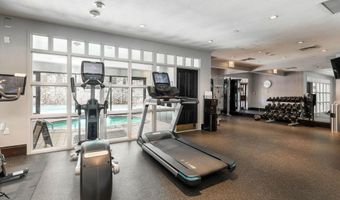 26 Avondale 211, Beaver Creek, CO 81620