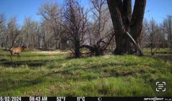 TBD County Road 170, Agate, CO 80101